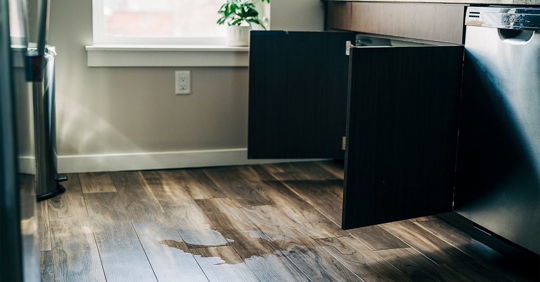 leak on kitchen floor