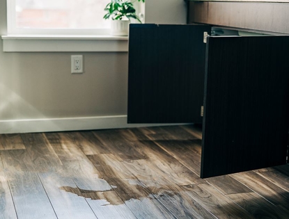 leak on kitchen floor