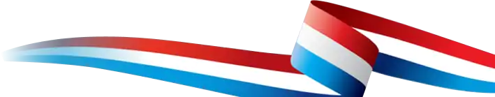 A wavy red, white, and blue ribbon curves against a light background; the ribbon forms a loose loop on the right side.